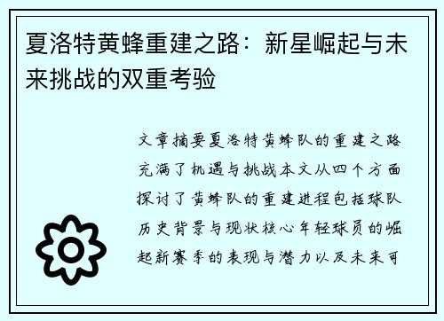 夏洛特黄蜂重建之路：新星崛起与未来挑战的双重考验