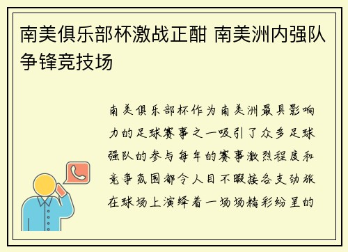 南美俱乐部杯激战正酣 南美洲内强队争锋竞技场